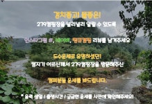279캠핑장