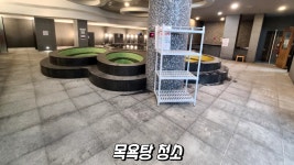 청소업체 백야