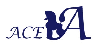 의정부 에이스애견미용학원