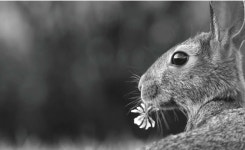 에스와이크리에이티브