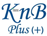 케이엔비플러스