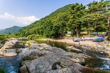 황실펜션 커플&가족&단체&리조트근처&계곡&스키장