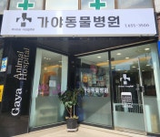 가야동물병원