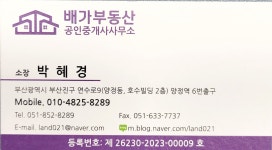 배가부동산중개