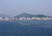 신진도민박