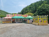 삼촌네과일