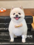 우리똥강아지