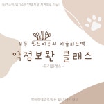 아르테미스 아카데미/애견미용학원