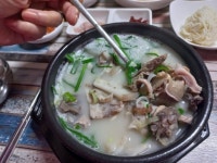 팔도돼지국밥