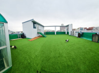 로와펫 플레이스