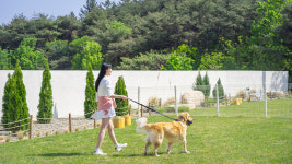 위클라드 애견 풀빌라