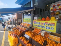 성산일출봉 휴게소