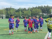 리틀코리아 축구클럽