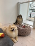 견생한컷