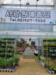 서광원예종묘