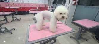 뚱몽이네