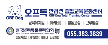 오프독 반려견 종합교육문화센터