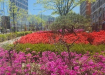 스마일단지내공인중개사사무소