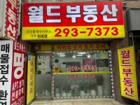 월드부동산