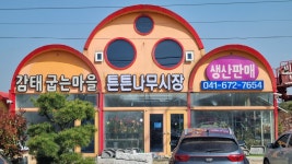 튼튼나무묘목시장