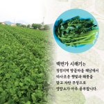 백번가 코다리 동태찜