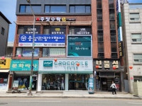 크로커다일레이디