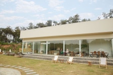 시숲