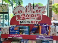 엔젤약국