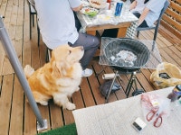 남애리458스테이