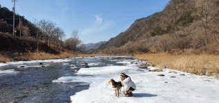 김삿갓면강건너펜션