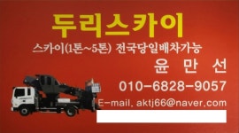 두리스카이