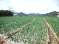 옥반식품 영농조합법인