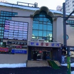 금성태권도장