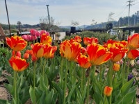 나 대관령왔어 펜션