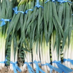 농업회사법인 참바른