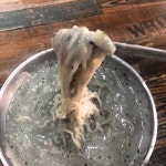 화정팥죽