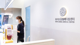 24시 화이트동물메디컬센터