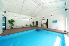 밸런스독 애견펜션