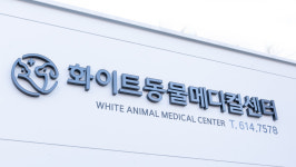 24시 화이트동물메디컬센터