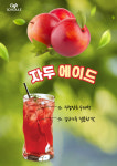 스케줄 삼척교동점