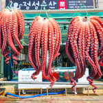 정성수산 문어