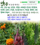 야곱의농장