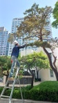 송림조경
