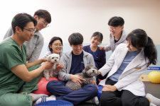 24시부천이지동물의료센터