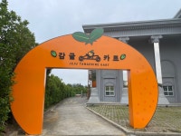 감귤카트