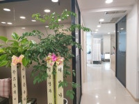 사랑이꽃피는한의원 광명점