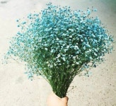 개포드림공인중개사사무소