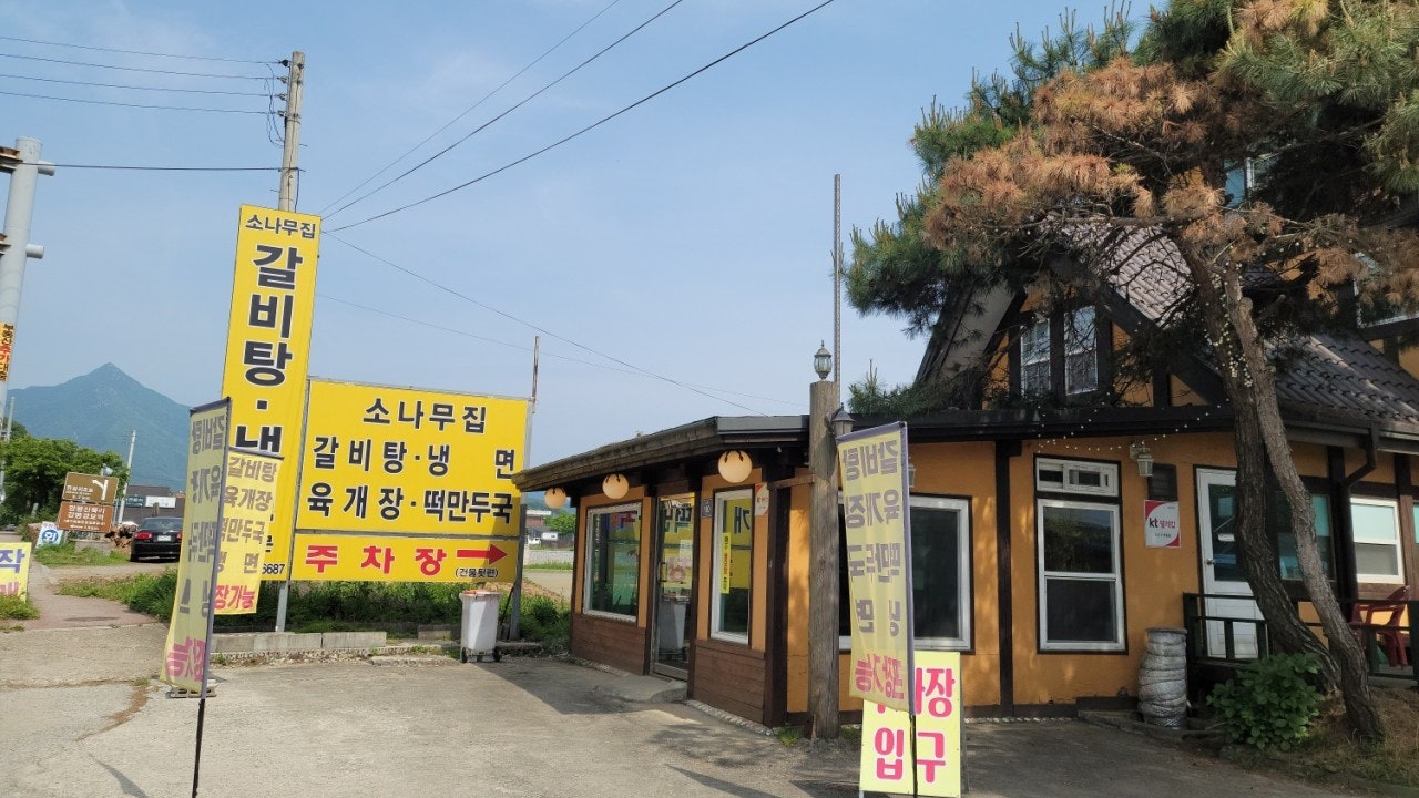 소나무집