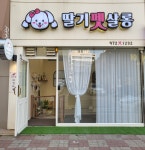 딸기펫살롱