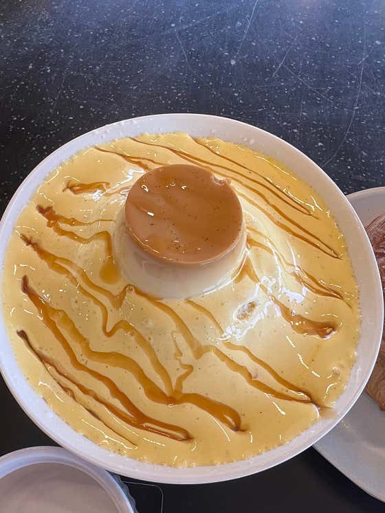 문버드 사진